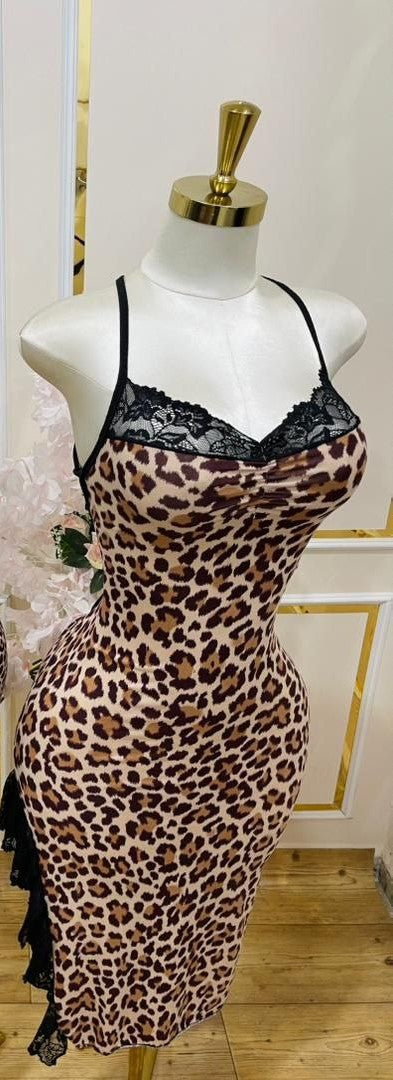 Fondrobe Tigre 2025